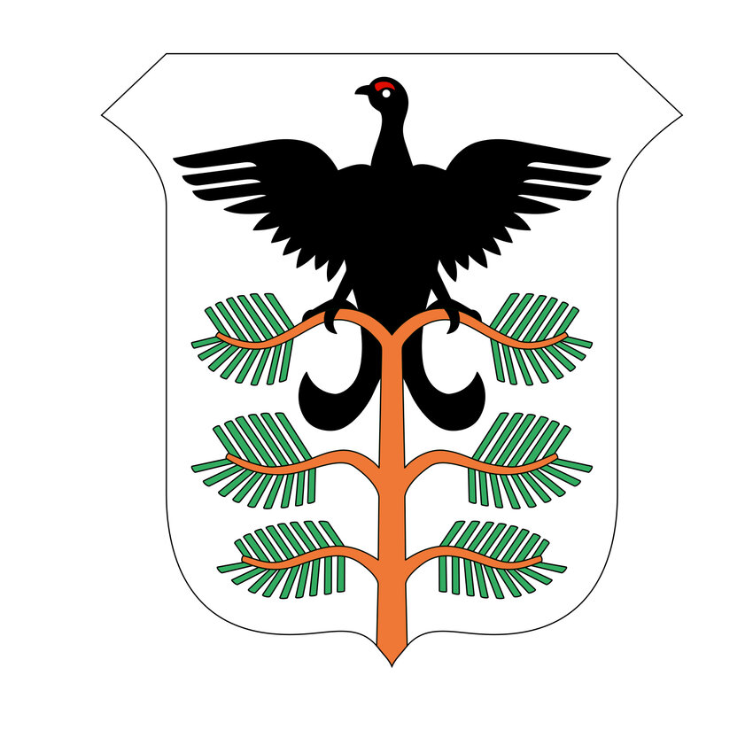 Hamar komm