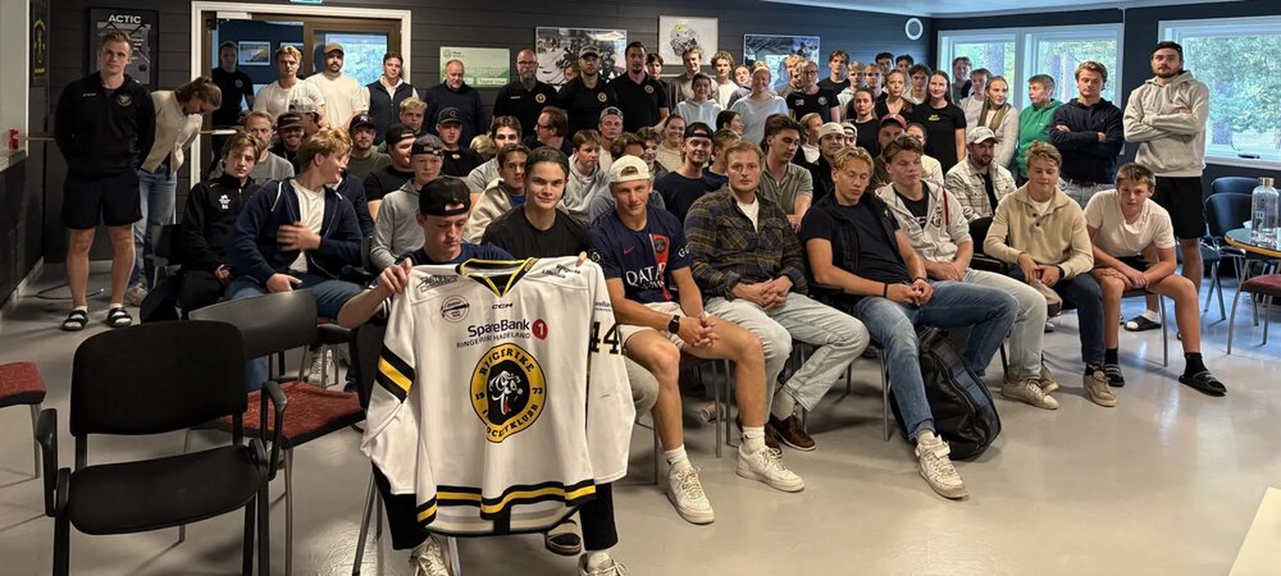 Ringerike panthers