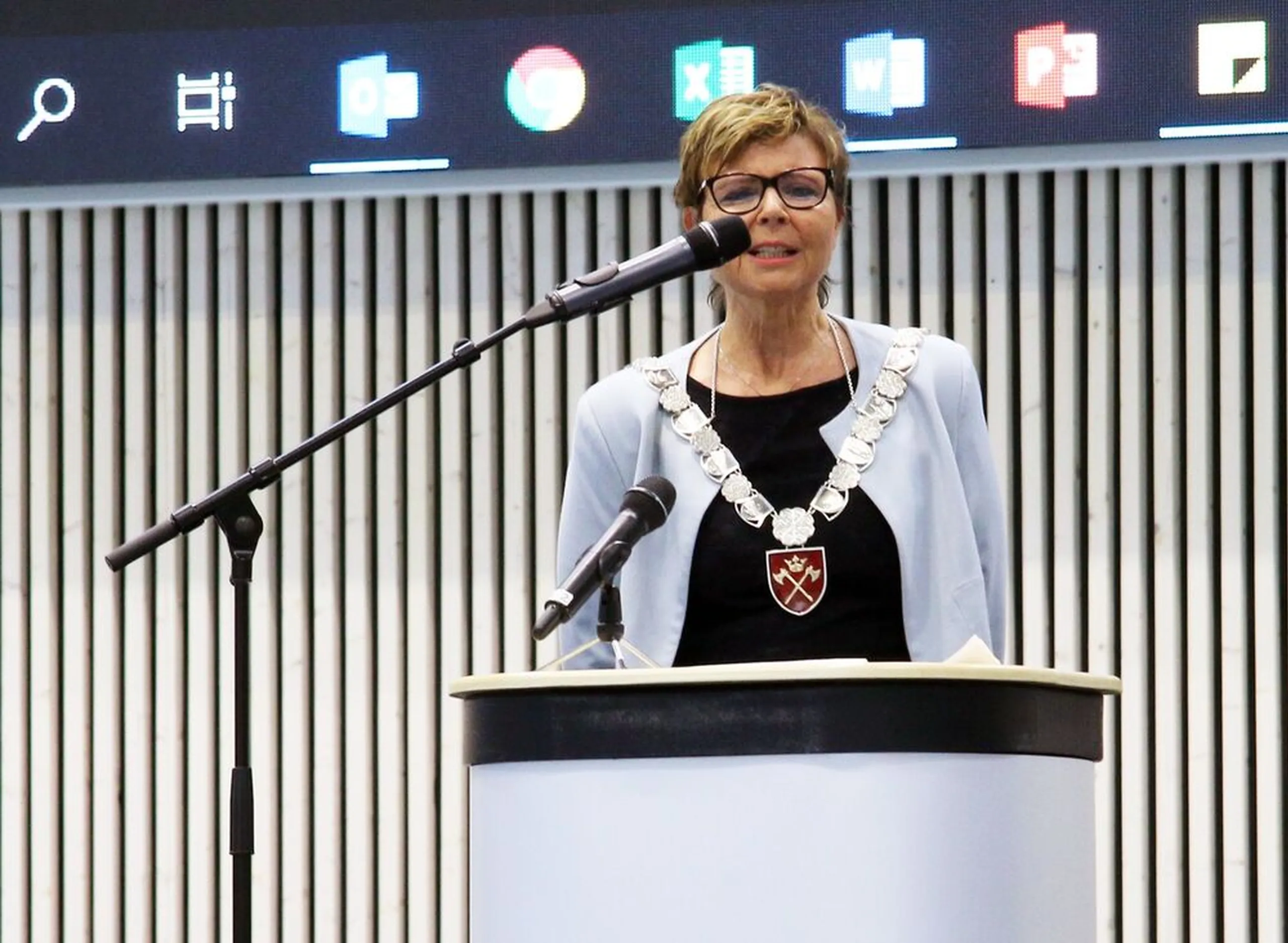 Renskole slaathaug